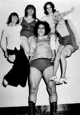Andre Vs Hogan