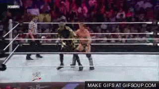 http://www.accelerator3359.com/Wrestling/pictures/finishers/jerichowallsanimated.gif