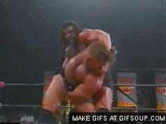 [IMAGE:http://www.accelerator3359.com/Wrestling/pictures/finishers/wrathmeltdownanimated.gif]